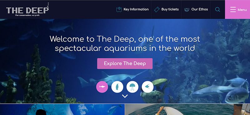 The Deep Sea Aquarium Hull